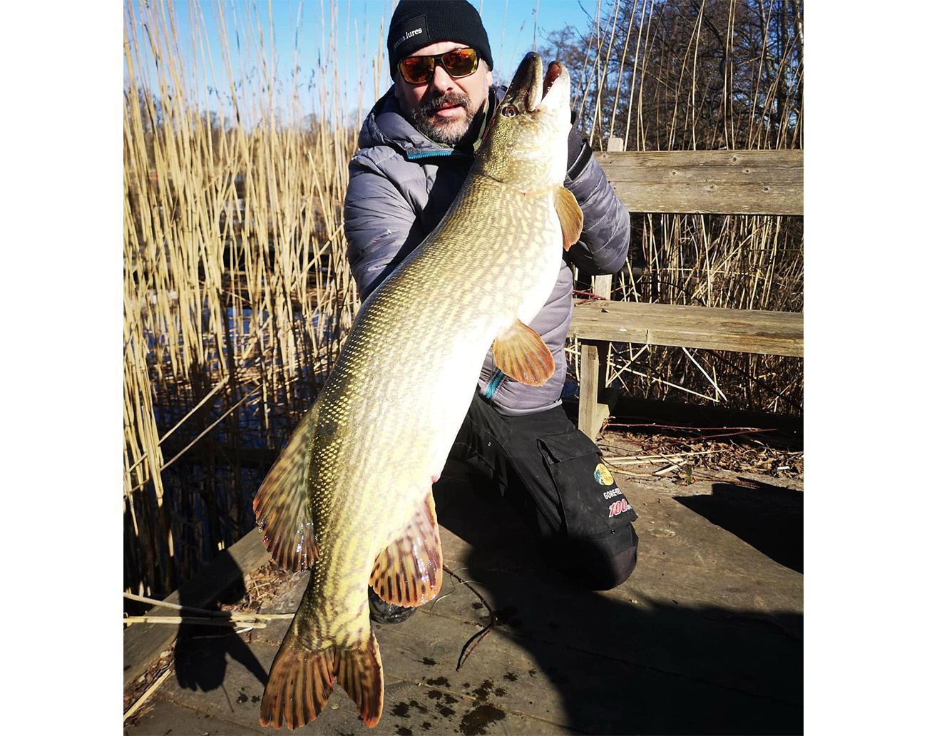 Jenzza Lures Aspö Tail